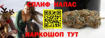 Альфа ПВП Славгород