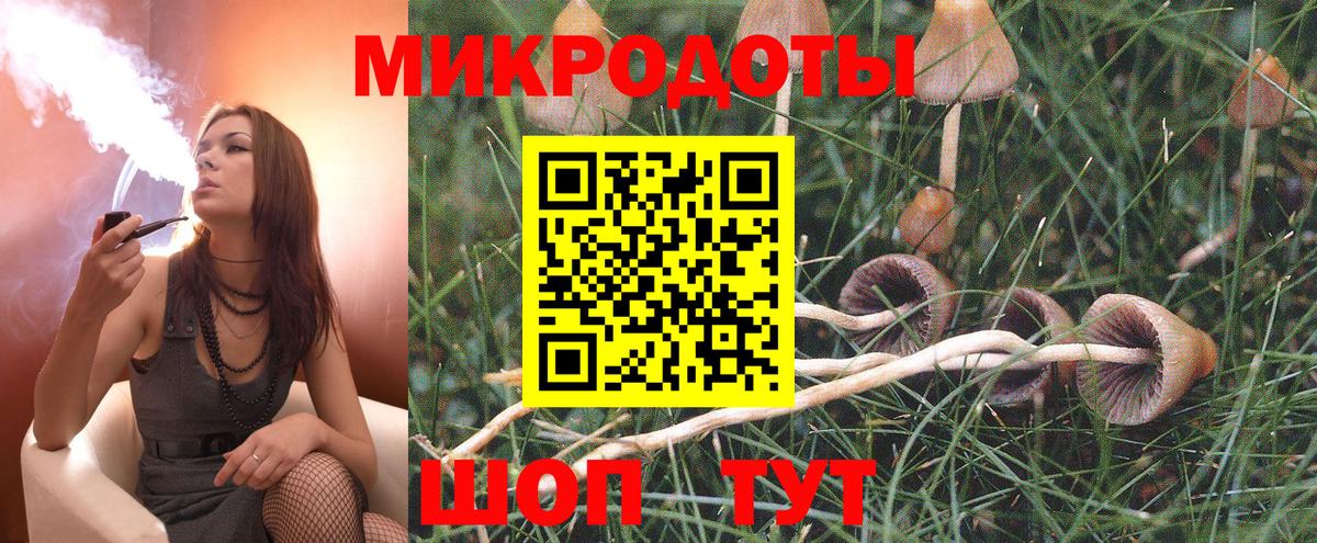 где продают   Вход с VPN  Реж  Галлюциногенные грибы прущие грибы  Галлюциногенные грибы мухоморы 