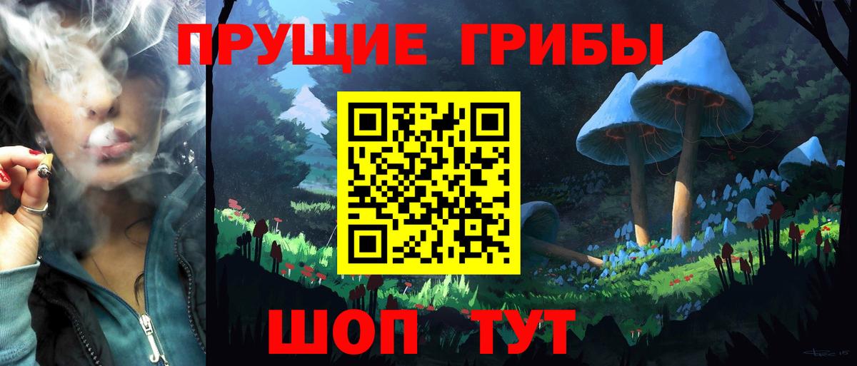Псилоцибиновые грибы GOLDEN TEACHER Реж
